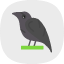 raven-crow-bird-fly-wings-flight-flying-animal-halloween-icon
