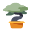 asia-bonsai-bonsai-tree-garden-gardening-plant-icon
