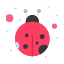 insect-lady-bug-beetle-icon