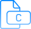 document-file-c-data-storage-folder-format-icon