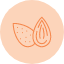 almond-kernel-nut-healthy-snack-food-seed-icon