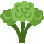 broccoli-icon