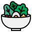 salad-food-bowl-meal-healthy-icon
