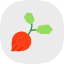 baby-european-radish-red-root-vegetable-fruits-and-vegetables-icon