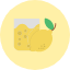 fruit-healthy-juice-lemon-lime-orange-food-icon