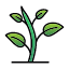 green-sprout-gardening-plant-seeding-icon