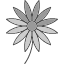 aster-flower-blossom-calendula-freshness-flowers-icon