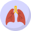 coronavirus-covid-corona-virus-lungs-anatomy-pulmonology-icon