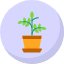 plant-icon