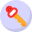 room-key-icon