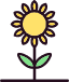 garden-nature-sunflower-seed-autumn-icon