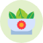salad-head-iceberg-leaf-leafy-lettuce-vegetable-icon