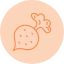 food-radish-turnip-vegetable-veggie-icon