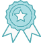 badge-medal-award-winner-achievement-icon