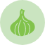 garlic-vegetable-vegetables-veggie-veggies-icon