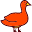 animal-canard-drake-duck-duckling-goose-icon