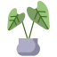 rubber-plant-icon