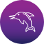 animal-dolphin-ecology-ocean-sea-icon