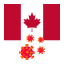 flag-country-corona-virus-canada-icon