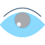 business-eye-opportunity-vision-icon