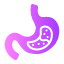 stomach-organ-gastroenterology-body-parts-human-healthcare-icon
