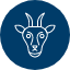 goat-animal-domestic-farm-livestock-mammal-zoo-icon-icon