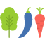 vegetables-food-healthy-vegetarian-fresh-icon