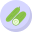 cucumber-cucumiform-pickling-seedless-slicing-vegetable-gardening-icon