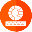 data-guard-information-internet-lifebuoy-lifesaver-security-icon