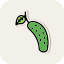 cucumber-cucumiform-pickling-seedless-slicing-vegetable-fruits-and-vegetables-icon