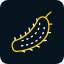 plant-nature-health-vegetable-cucumber-pickle-fruits-and-vegetables-icon