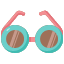 sunglassesglasses-eyewear-accessory-fashion-icon