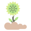 sunflowerblossom-botanical-flower-marigold-icon