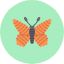 animals-bug-butterfly-insect-moths-icon