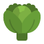 green-cabbage-natural-vitamin-food-healthy-gardening-icon