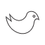 cuite-bird-icon