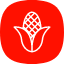 corn-grain-maize-food-vegetable-agriculture-icon