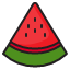 watermelon-fruit-tropical-food-slice-icon
