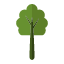 albero-icon