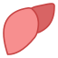 liver-icon