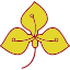 anthurium-flower-natural-aromatic-plant-rose-iris-flowers-icon