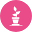 grow-growing-growth-nature-new-plant-icon