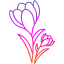 coloring-crocus-dye-flower-saffron-spice-threads-icon