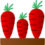 box-carrots-farm-garden-harvest-vegetable-farming-and-gardening-icon
