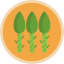 cooking-healthy-food-organic-vegetable-asparagus-gardening-icon