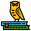 owl-education-bird-animal-book-icon