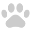 paw-dog-cat-paws-pets-animal-icon