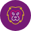 animal-astrology-face-horoscope-king-leo-lion-icon-vector-design-icons-icon