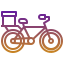 bike-courier-delivery-shipping-and-humanpictos-icon