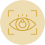 vision-icon